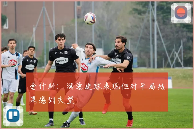 舍什科：满意进球表现但对平局结果感到失望