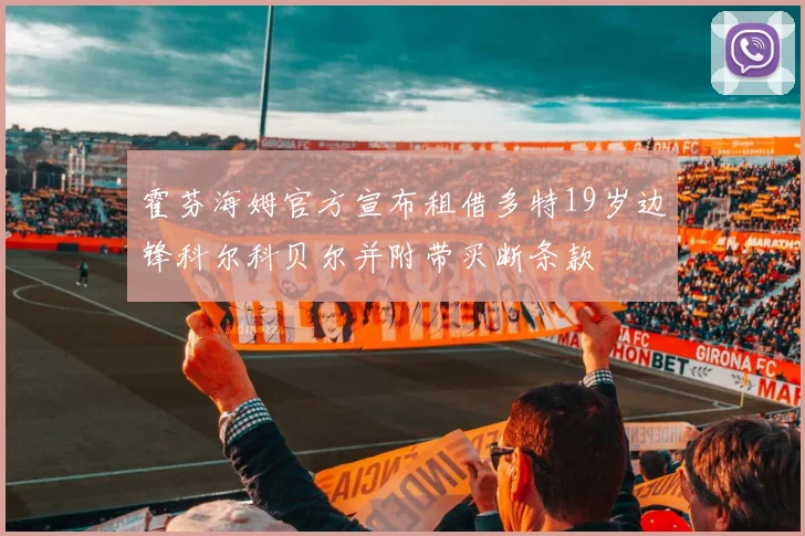 霍芬海姆官方宣布租借多特19岁边锋科尔科贝尔并附带买断条款