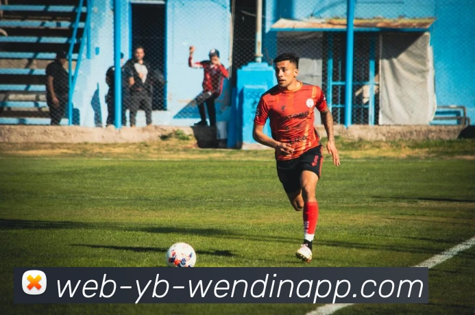 问鼎娱乐平台生态图