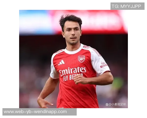 英超十佳引援评选揭晓扎卡谢尔基苏维门迪等球员表现出色